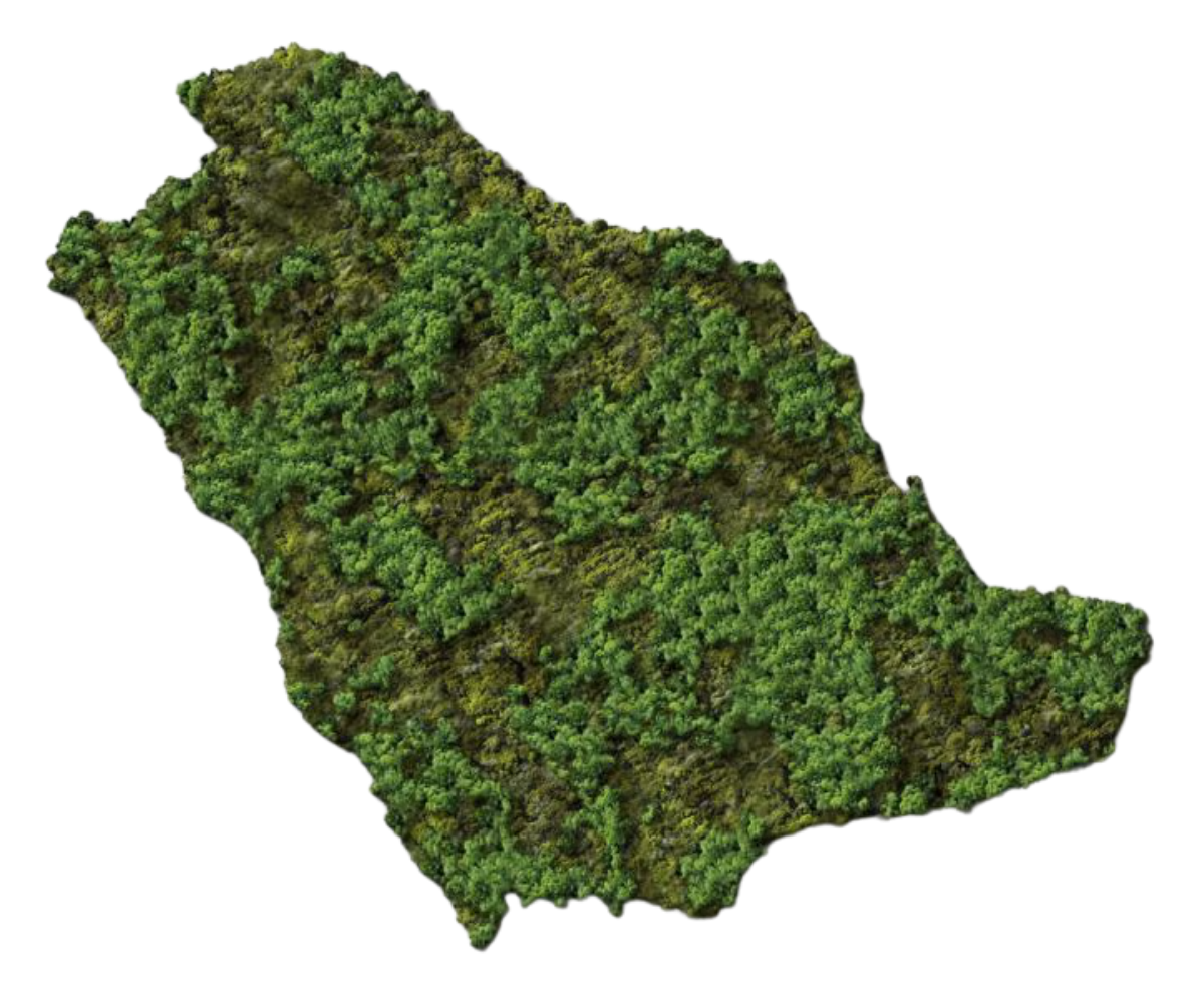 Saudi Arabia map illustration